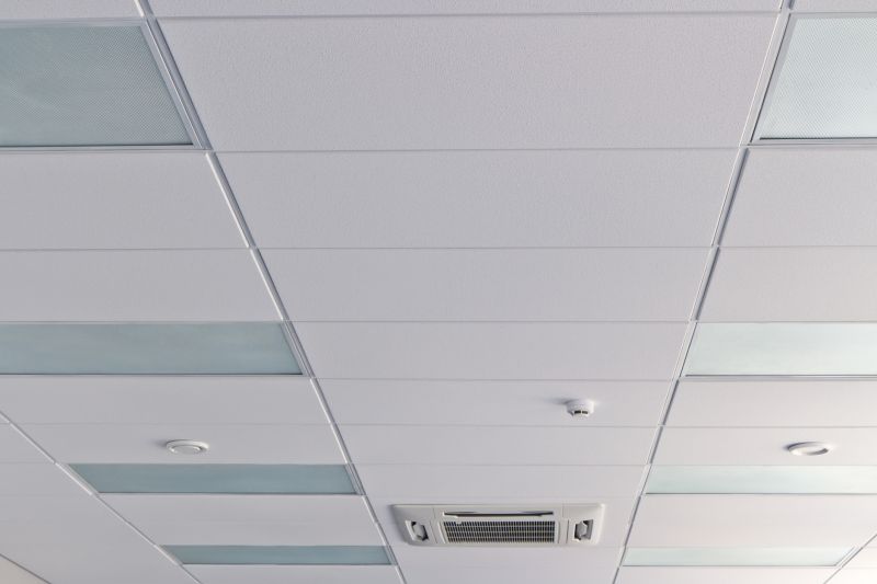 Ceiling Removal Service in Denver, CO